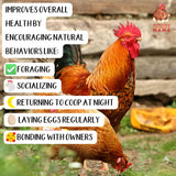 Paquete de muestras de 10 libras para gallinas