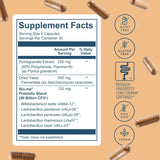 Synbiotic 3-en-1 para salud digestiva e inmunidad, 60 cápsulas