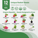 Semillas de Rábano Organo Republic 12 Variedades Heirloom