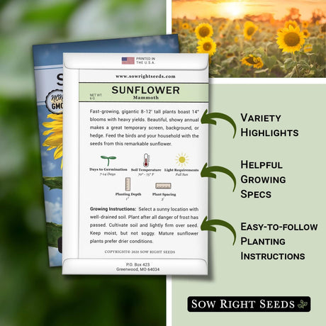 Semillas de Girasol Mammoth - Sow Right Seeds - No GMO (1)