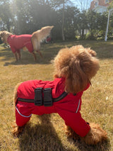 Chaqueta Impermeable para Perros, Ligera, Reflectante, XL