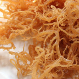 Moss Irlandés Salvaje HalalEveryDay 1lb Natural 16oz