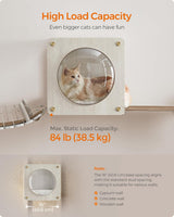 Cueva para Gatos Feandrea, Rincón con Hamaca y Ventana No.010