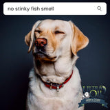 Vitaminas o Suplemento para piel y pelaje para perros