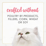 Alimento húmedo natural para gatitos sin granos
