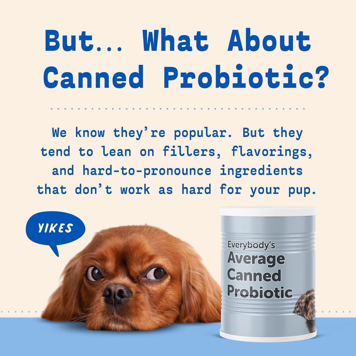Vitaminas Probiótico para perros Polvo probiótico