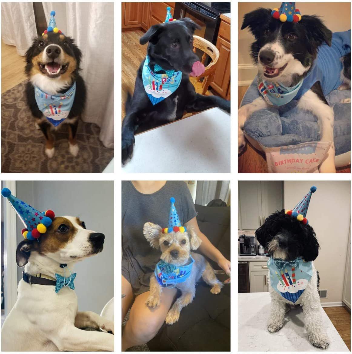 Disfraces de Cumpleaños para Perro Agirlvct, 4 Piezas