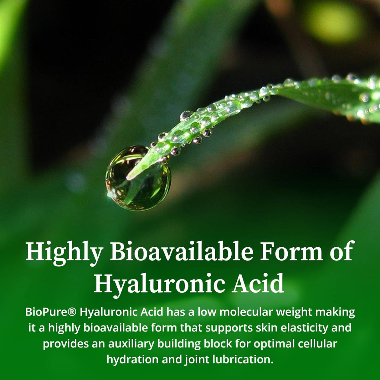 BioPure Solución líquida de ácido hialurónico