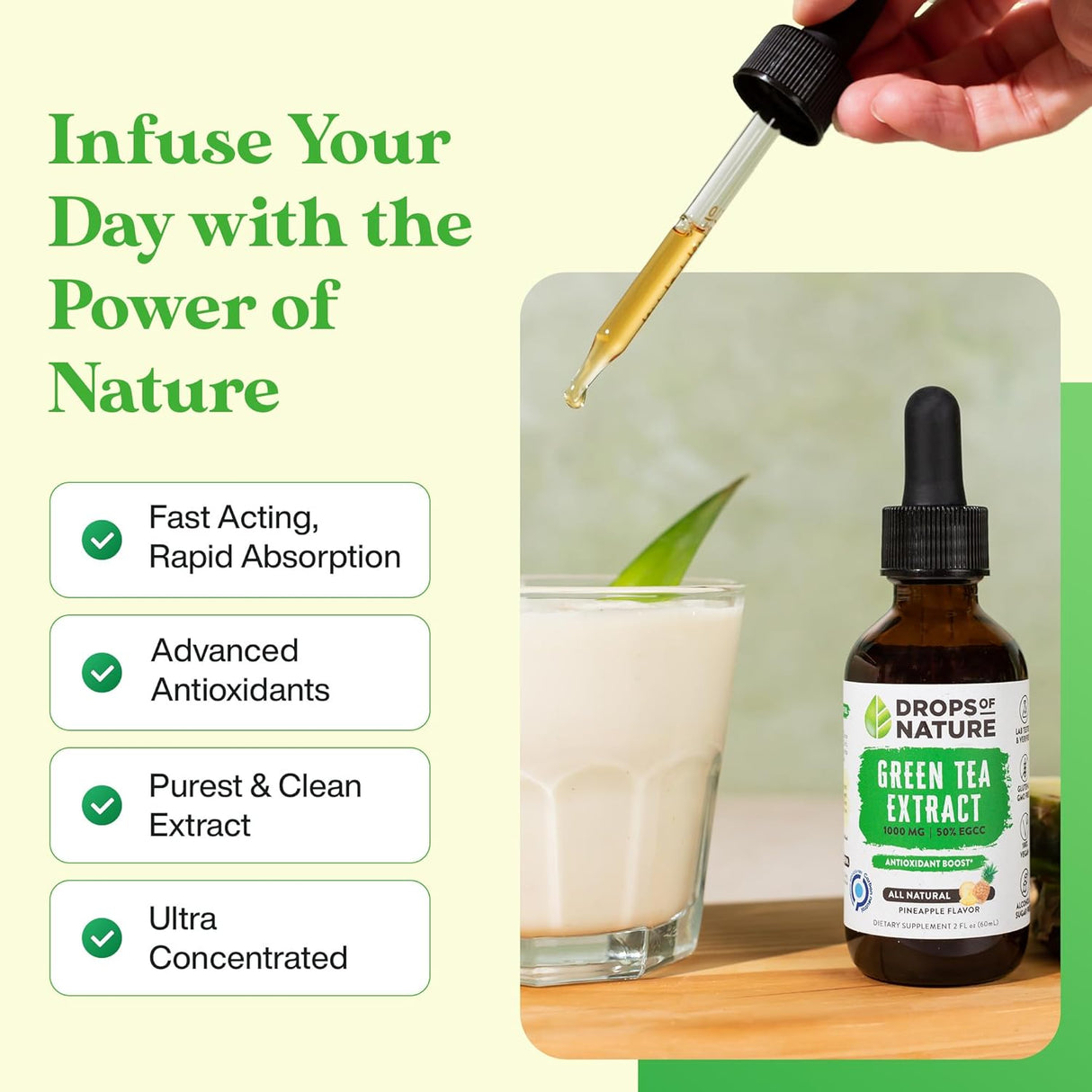 Suplemento Extracto de té verde – 1000 mg  50% EGCG 2 oz.