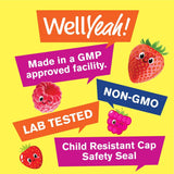 Suplementos de fibra prebiótica para niños WellYeah