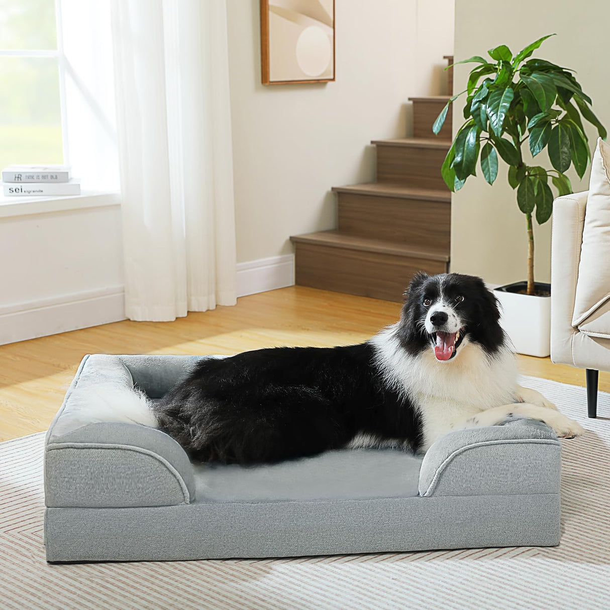 Cama ortopédica para perro PAWZ Road, lavable, tamaño grande
