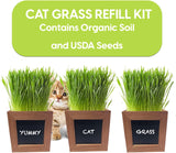 Kit de recarga de hierba orgánica para gatos