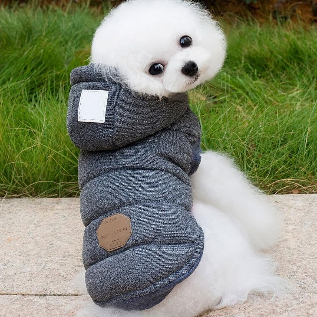 Abrigo de invierno para Cachorro