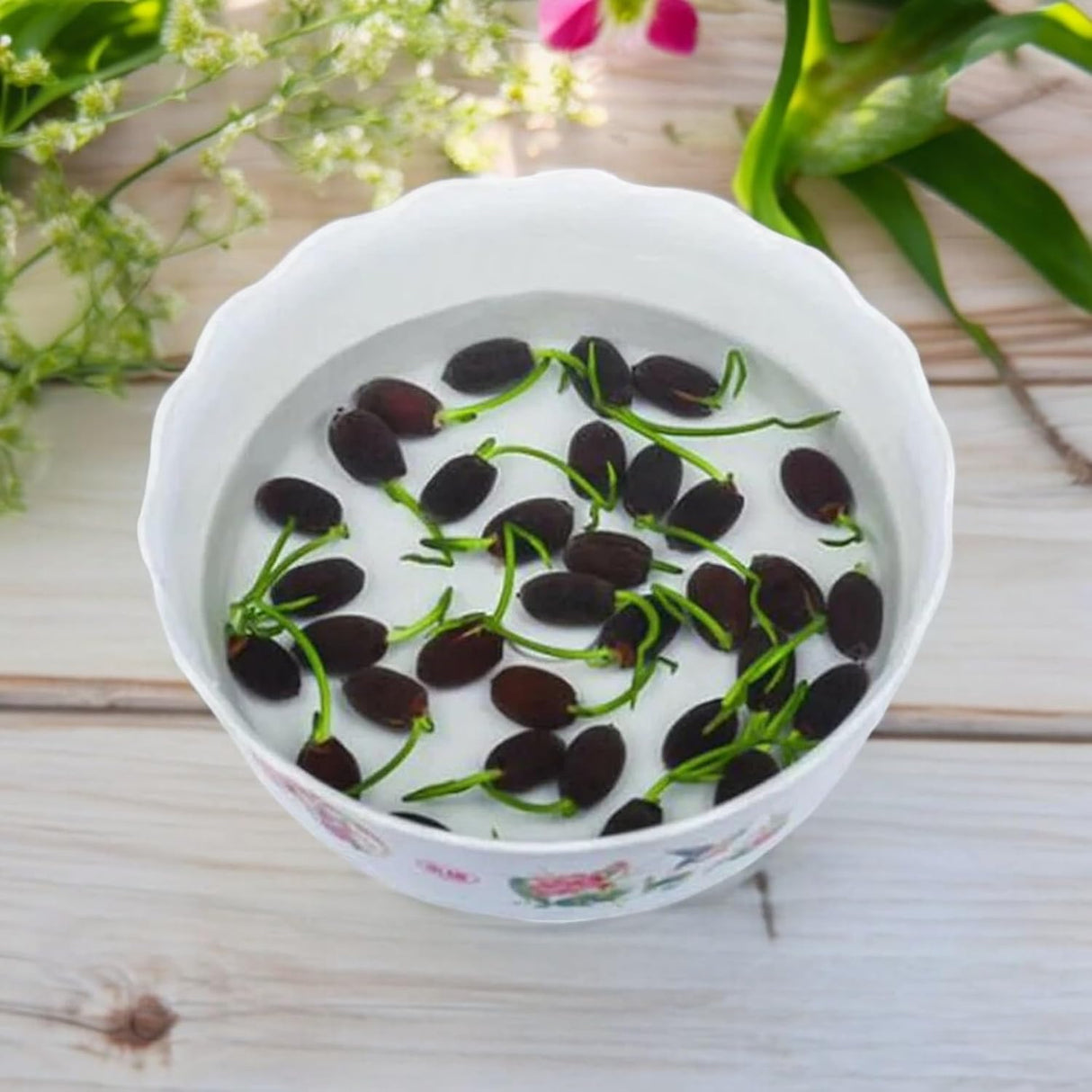 10pcs Semillas de Loto para Plantar - Acuáticas, No GMO