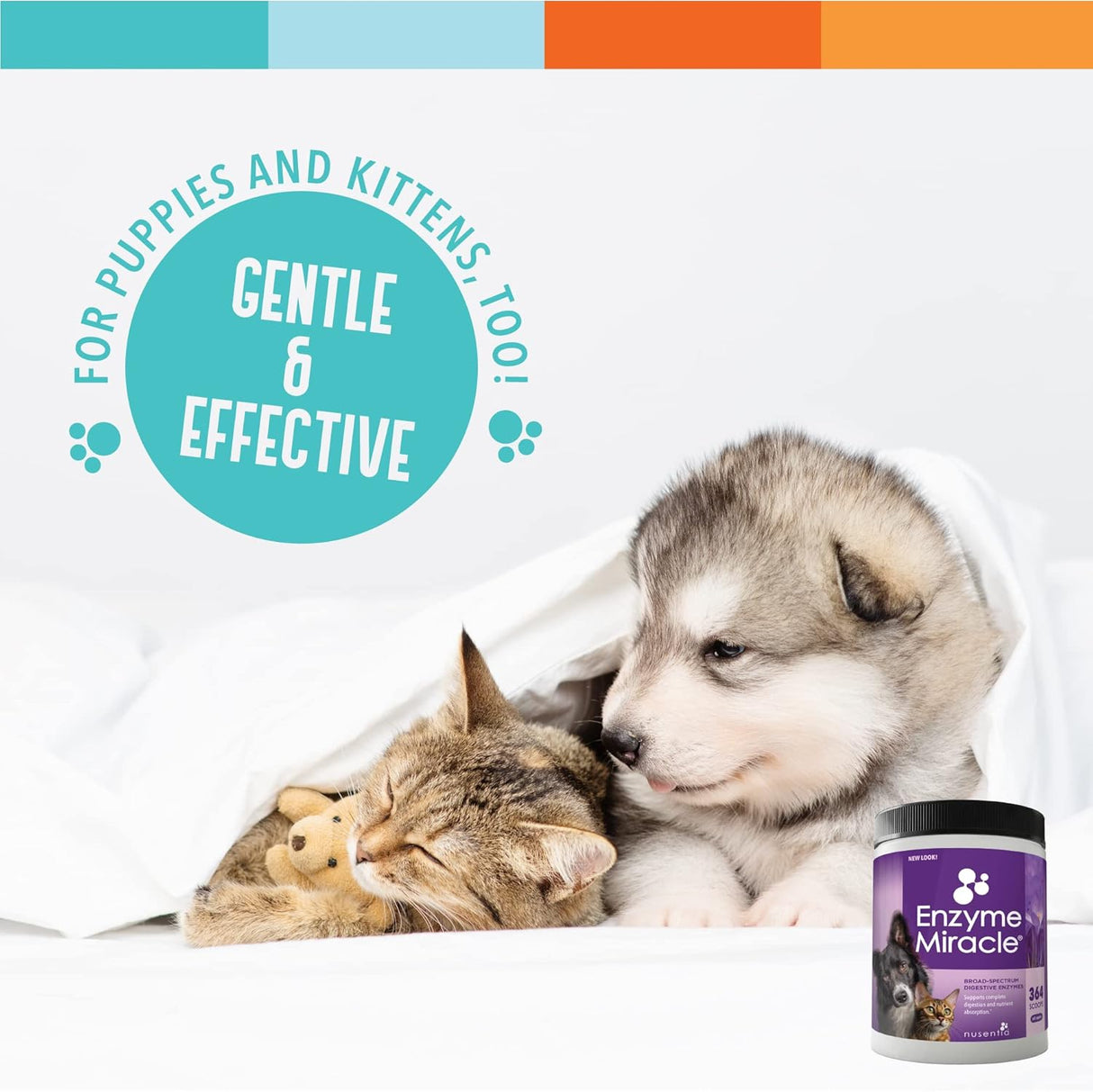 Enzimas Digestivas para Perros y Gatos - Enzyme Miracle, 364 Scoops