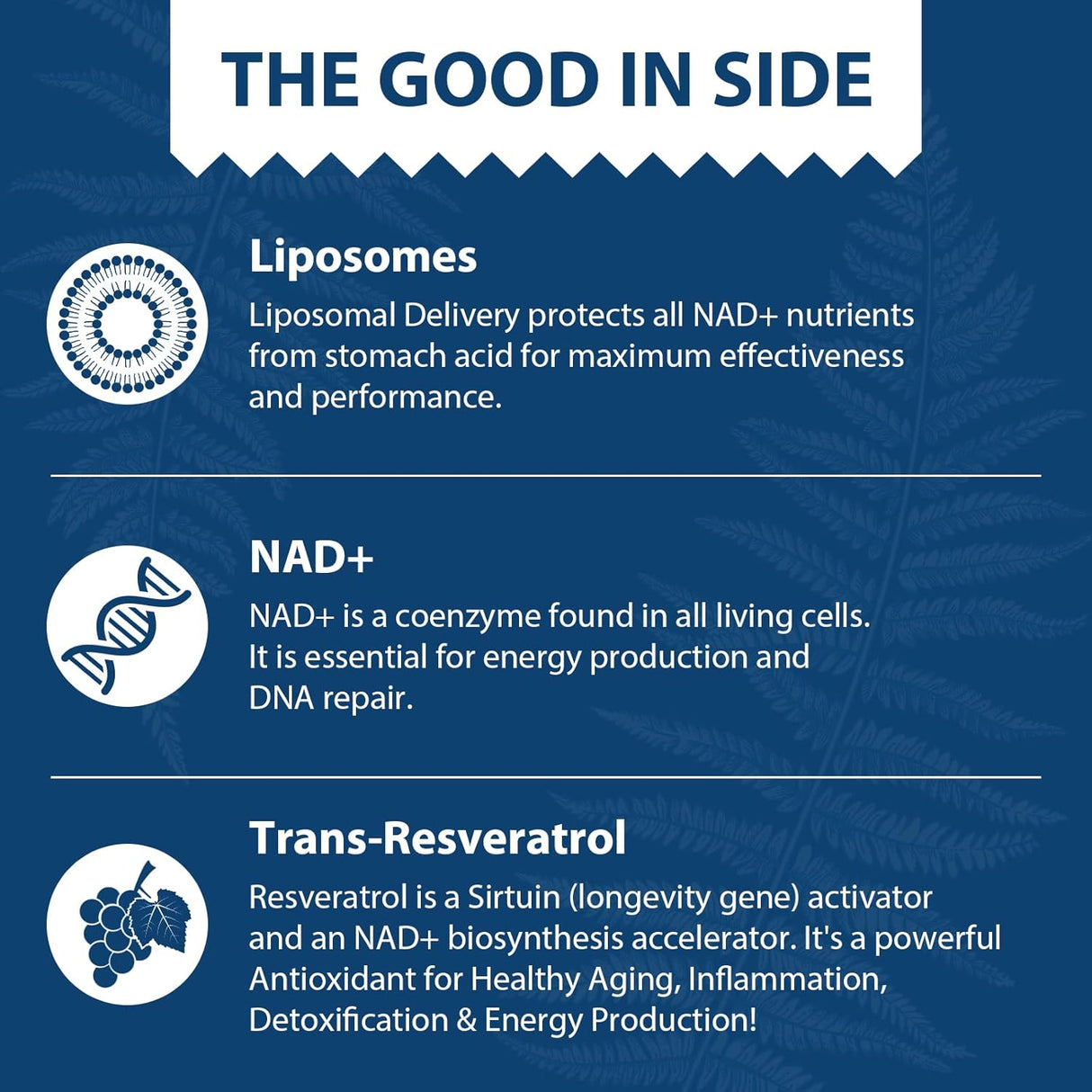 Suplemento de NAD eficiente para el metabolismo GIORANA