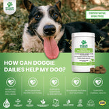 Vitaminas Probióticos para perros promueve la salud