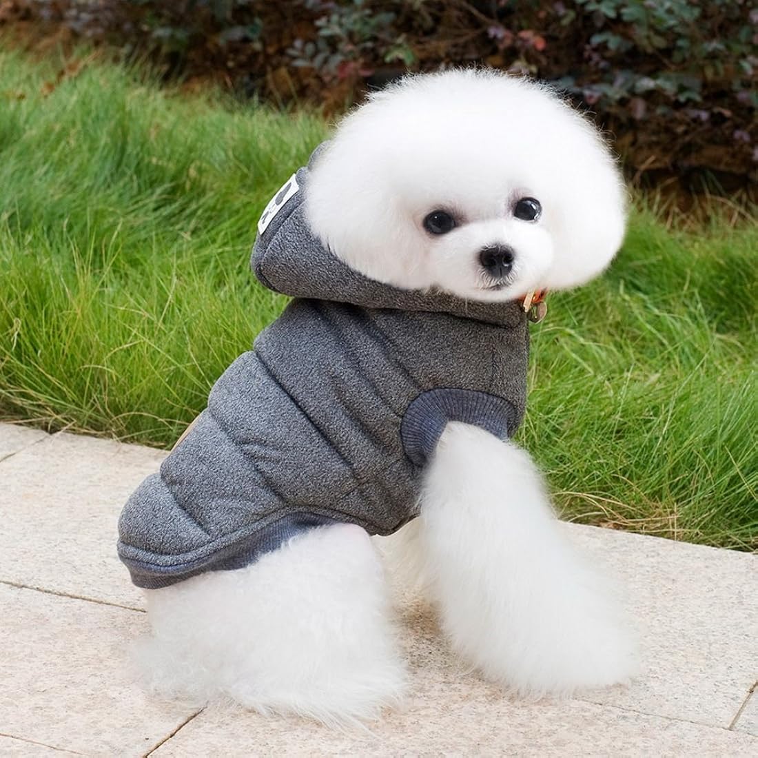 Abrigo de invierno para Cachorro
