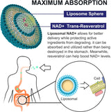 Suplemento True NAD Plus para reparación del ADN y refuerzo