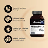 Suplementos Alimenticios mejora la memoria