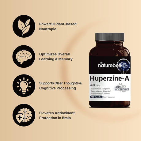 Suplementos Alimenticios mejora la memoria