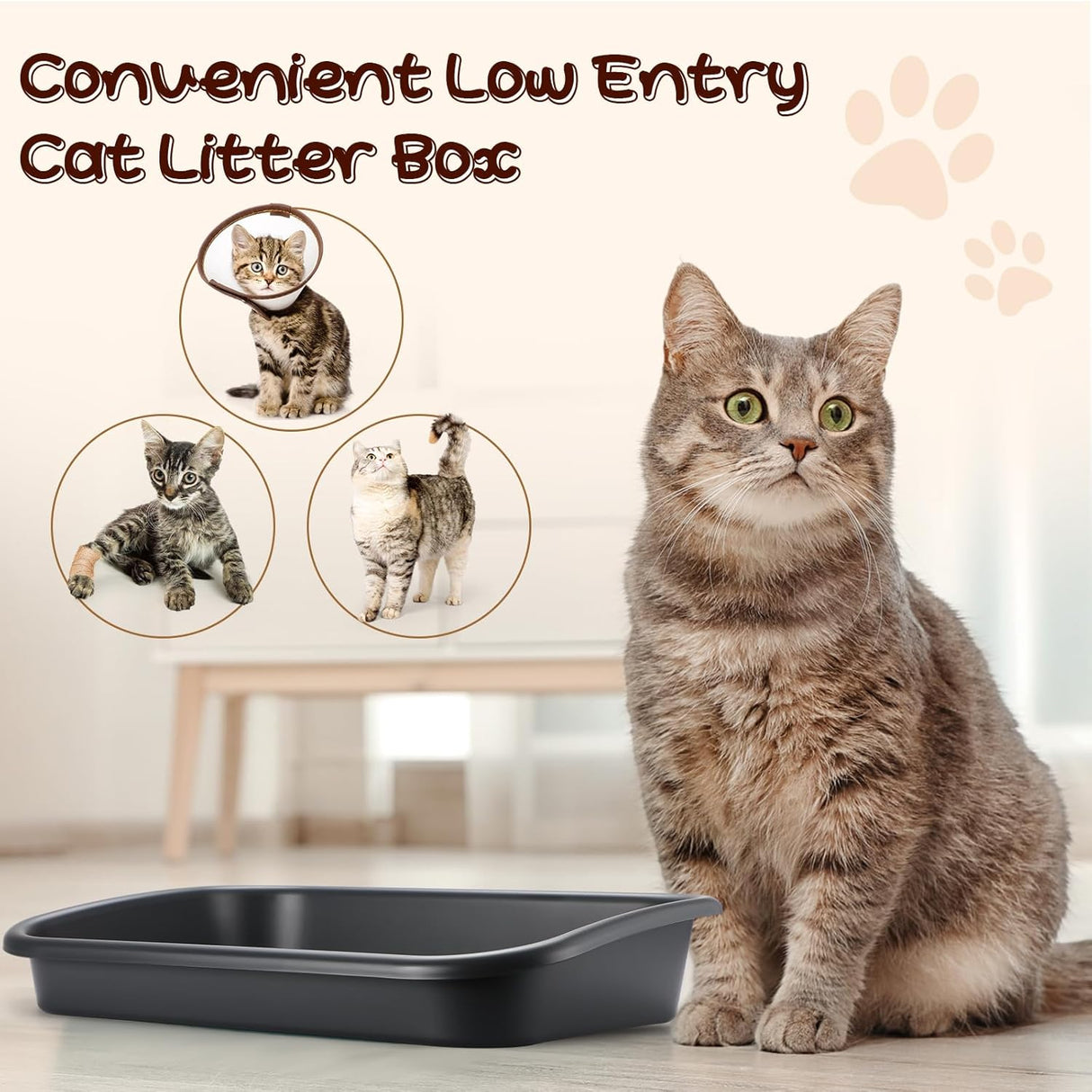 3 cajas de arena para gatos mayores de entrada baja Uiifan
