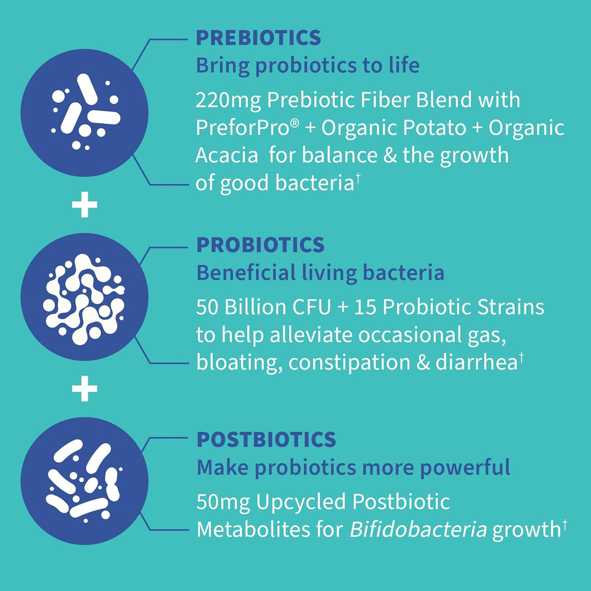 Suplementos Alimenticios probióticos completos 3 en 1