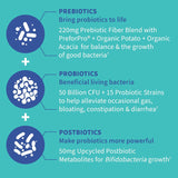 Suplementos Alimenticios probióticos completos 3 en 1