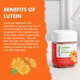 Gomitas de luteína de 12 mg con zeaxantina y vitamina 60 un