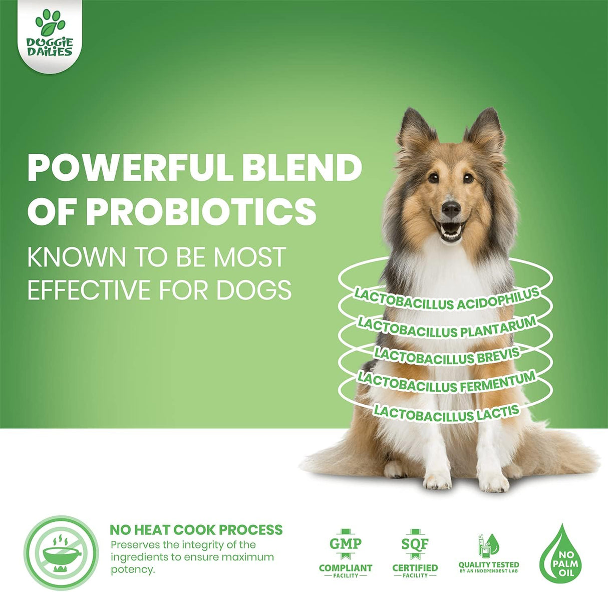 Vitaminas Probióticos para perros promueve la salud