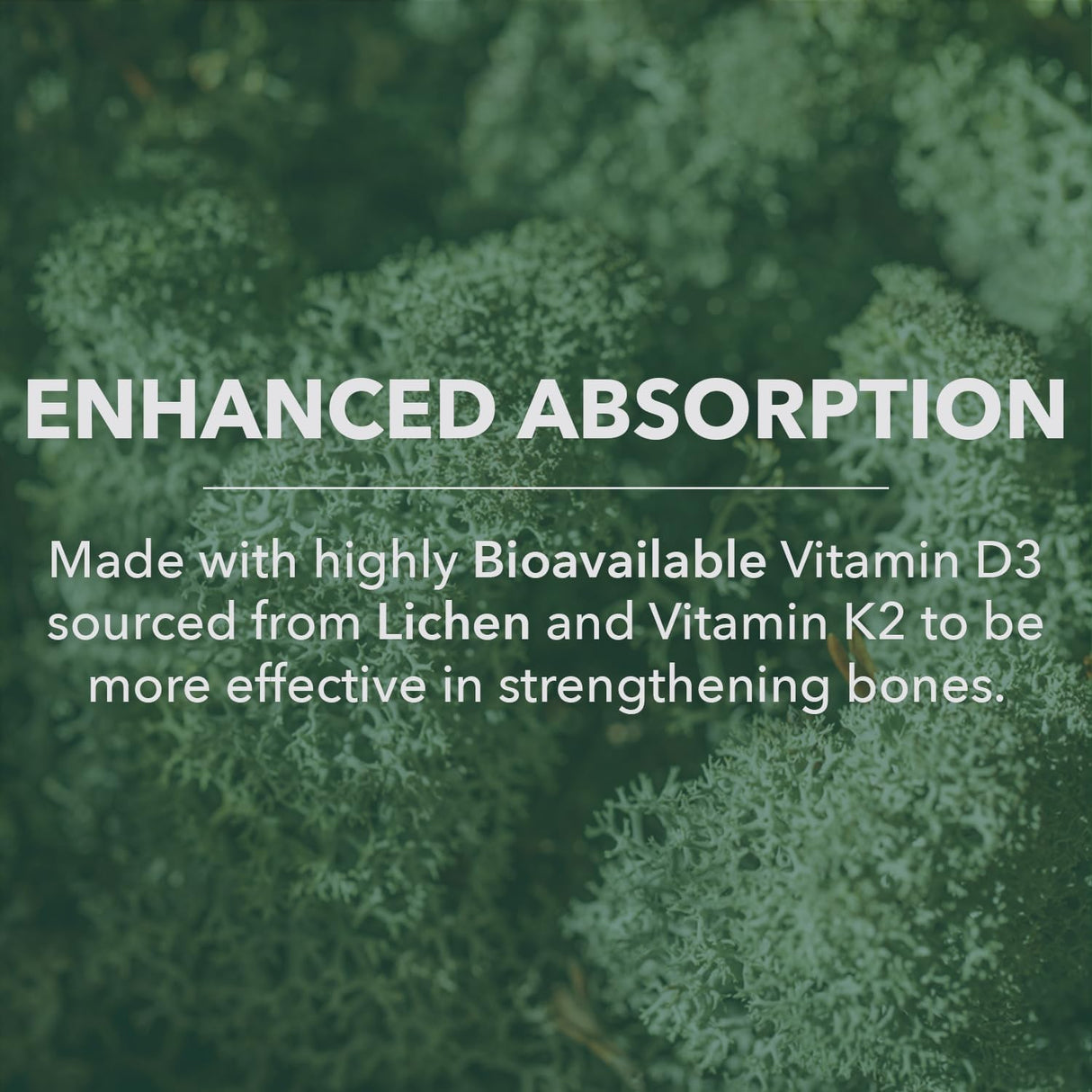 PlantFusion Vitamina D3 + K2 Orgánica Vegana 5000 IU, 60 Cápsulas