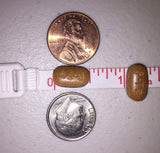 Suplemento Pastillas Ferrets 60 (0.004 oz)  Paquete de 1, 60