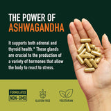 Suplemento Ashwagandha 1300mg, Adaptógeno, 120 cápsulas