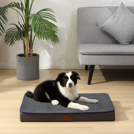 Cama ortopédica para perros medianos Bedfolks, espuma viscoelástica