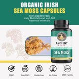Píldoras de Musgo de Irlanda Orgánico Dr. Sebi 120 cápsulas