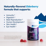 Trace Minerals Zinc Gummies - Suplemento con Elderberry, 60 Gummies