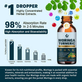 Moringa Orgánico Líquido 2pack Energía y Antiox 1oz