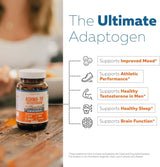 Ashwa-70®: Extracto de Ashwagandha 35% Withanolides, Máx Fuerza