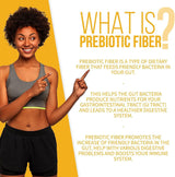 Suplemento de fibra prebiótica: Ayuda a la salud intestinal