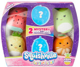 Mini Peluches de Frutas Suaves, Squishmallows Mystery Mini