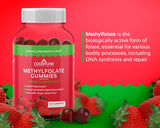 Suplemento CogniTune Gomitas de metilfolato: L-metilfolato