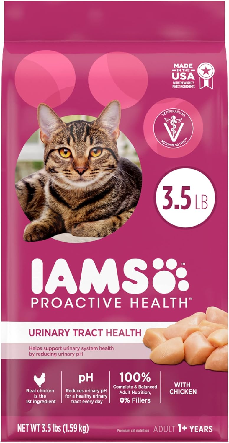 Alimentos seco saludable para gatos con croquetas de pollo