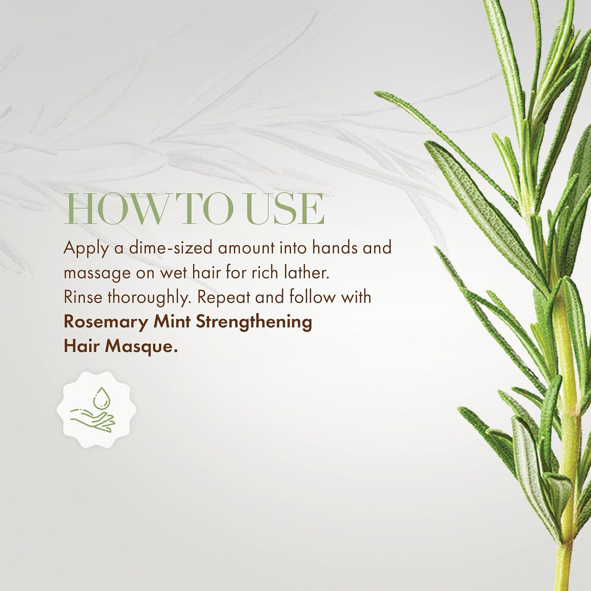 Shampoo fortalecedor de menta con biotina Mielle Organics
