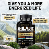 Capsulas de Shilajit Premium con Ashwagandha y Ginseng, 120