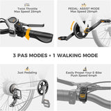 Bicicleta Eléctrica Heybike Race Max 750W, 28 mph, 600WH