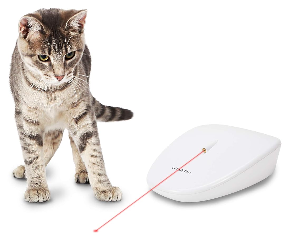divertido juego de luz láser para gatos