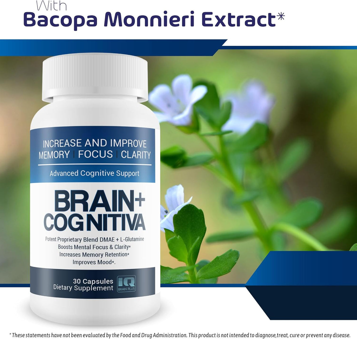 Soporte Cognitivo Avanzado - Mejora Memoria y Enfoque Mental