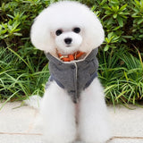 Abrigo de invierno para Cachorro