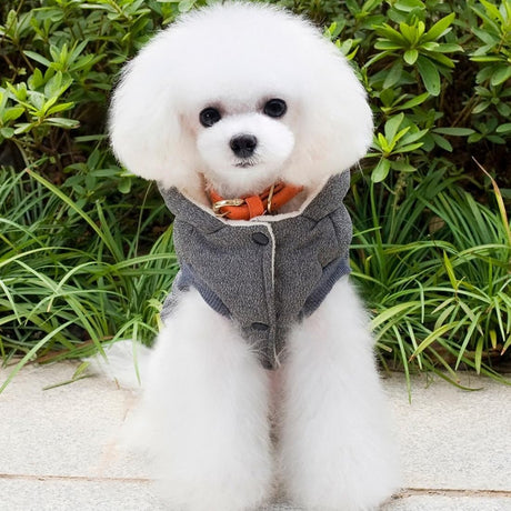 Abrigo de invierno para Cachorro