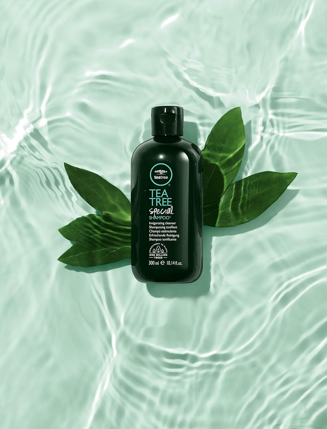 Shampoos y Acondicionadores de árbol de té